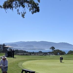 Meet your Posher, Katherine